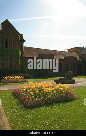 Frühling-Bettwäsche anzeigen außerhalb der alten Bibliothek in Taunton, Somerset, England, UK Stockfoto