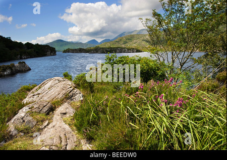 Muckross Lake, Killarney, Co. Kerry, Irland Stockfoto