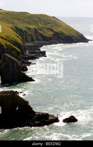 Old Head of Kinsale, Co Cork, Irland Stockfoto