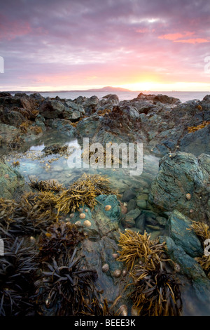 Sonnenuntergang mit Blick auf Holyhead Mountain gesehen hier von Porth Penrhyn-Mawr auf die Isle OF Anglesey. Stockfoto