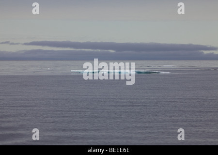 Eis driftet im ruhigen arktischen Ozean vor der Küste von Svalbard Stockfoto