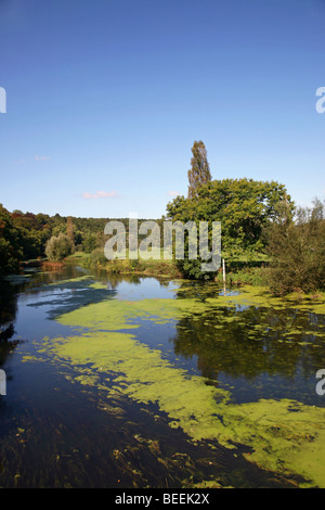 Malerische Aussicht auf den Fluss Stour Blandford Forum, eine North Dorset Stadt Blackmoor Vale Stockfoto