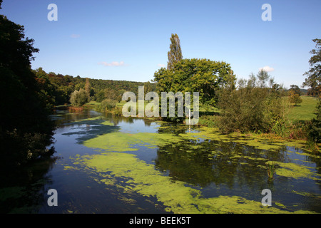 Malerische Aussicht auf den Fluss Stour Blandford Forum, eine North Dorset Stadt Blackmoor Vale Stockfoto