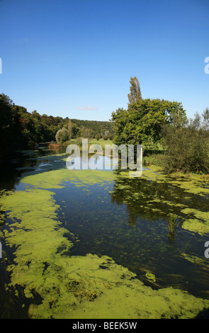 Malerische Aussicht auf den Fluss Stour Blandford Forum, eine North Dorset Stadt Blackmoor Vale Stockfoto