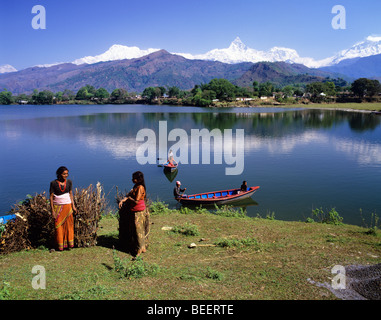 Nepalesische Land Frauen mit großen Bündeln von Brennholz an den Ufern des Sees Phewa Tal von Fishtail Berg übersehen Stockfoto