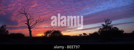 Sonnenuntergang in Ackerland Gimingham North Norfolk Stockfoto