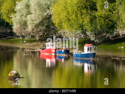 Kleine Fischerboote vor Anker am River Dee, Chester, Cheshire, England, UK Stockfoto