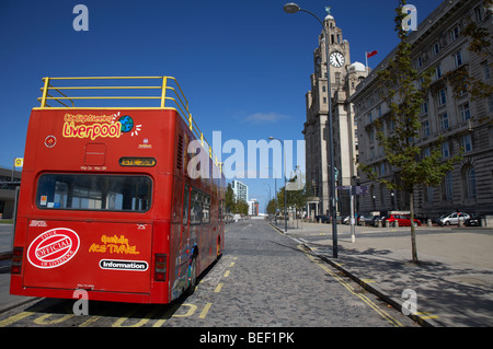 roten Sightseeing Liverpool Tourbus auf Kanada Boulevard vor die die Cunard Gebäude eines Rummenigge drei Grazien Stockfoto