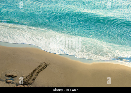 Unechte Karettschildkröte (Caretta Caretta) tracks aus den Nestern auf Jupiter Beach - Arten vom Aussterben bedroht ist - Jupiter, Florida - USA Stockfoto