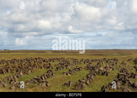 Ein Feld von geschnittenen Torf trocknen auf einem Einödbauern Feld in South Uist, äußeren Hebriden, Schottland. Stockfoto