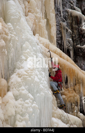 Eisklettern am Ruskea Virta Eisfall, Korouma Canyon, Posio, Finnland Stockfoto