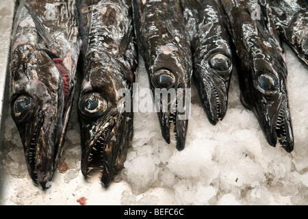 Espada (schwarze Scheide) Fische zu verkaufen, der Fischmarkt, Funchal, Madeira Stockfoto