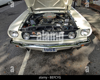 Automobil Oldtimer Ford Mustang von 1966 mit Motor und Front Ansicht von Auto mit Kapuze geöffnet und der motor Stockfoto