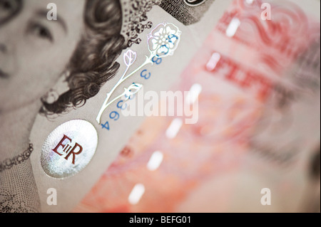 Silber Blume Prägung auf einem englischen fünfzig Pfund-note Stockfoto