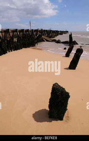 Fäulnis, alte Pier Beine und neue Betonwand Stockfoto