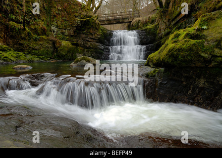 Wasserfall auf dem Afon Sychryd in den Brecon Beacons Stockfoto