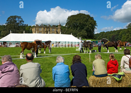 Zuschauern schwere Pferd Wettbewerb Gargrave Show in der Nähe von Skipton North Yorkshire England UK Stockfoto