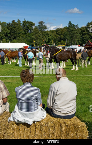 Zuschauer Menschen beobachten schwere Pferde Wettbewerb im Sommer Gargrave Show in der Nähe Skipton North Yorkshire England Stockfoto