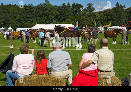 Zuschauer Menschen beobachten schwere Pferderennen im Sommer Gargrave Show In der Nähe von Skipton North Yorkshire England Stockfoto