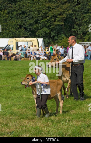 Jersey Kalb von jungen Mädchen an Skipton zeigen im Sommer in der Nähe von Skipton North Yorkshire England UK Vereinigtes Königreich GB Großbritannien geführt wird Stockfoto