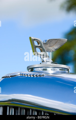 Ikonisches winged Bentley Oldtimer Maskottchen-Logo aus nächster Nähe Norden Yorkshire England UK Vereinigtes Königreich GB Großbritannien Stockfoto