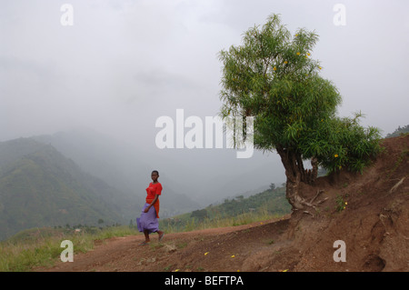 Bakonzo Frau, Ruwenzori-Gebirge, West-Uganda, Afrika Stockfoto