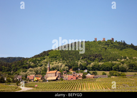 Husseren-Les-Châteaux, Elsass, Frankreich. Blick auf Dorf und Schloss Ruinen am Schlossberg Hügel mit Reben wachsen in den Weinbergen Stockfoto