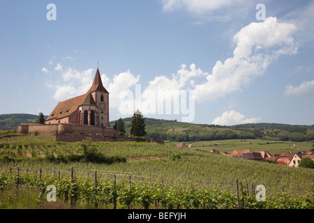 Hunawihr Elsass Haut-Rhin Frankreich befestigten 15. Jahrhundert Kirche von St Jacques und Grand Cru Weinberge entlang der Elsässer Wein Stockfoto