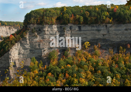 Genesee River Gorge in Letchworth State Park, New York USA. Stockfoto