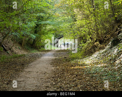 Blick entlang des Tissington Trail, Derbyshire England UK Stockfoto