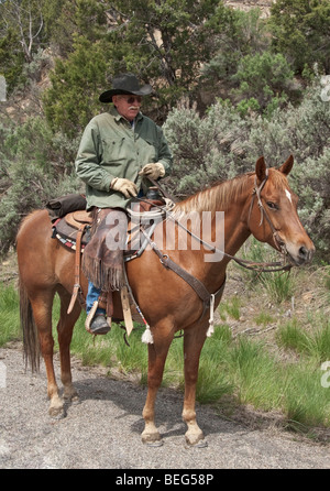 Cowboy auf Pferd western Colorado Stockfoto