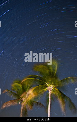 Langzeitbelichtung zeigt Sternspuren Drehung um Polaris, Flamingo Bereich, Everglades National Park, Florida Stockfoto