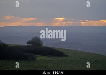 Winter Sonnenuntergang von Fontmell runter mit den Wellen des Goldenen Lichts über fernen Hügel im Norden Dorset-England Stockfoto