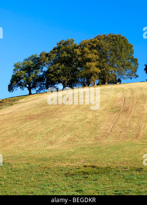 Landschaft in der Nähe von Ainhoa, Baskenland, Frankreich. Stockfoto