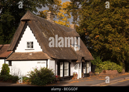 England, Cambridgeshire, Huntingdon, Brampton, High Street, Hecke Ferienhaus idyllisch am Straßenrand Reetdach Haus Stockfoto