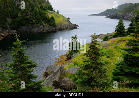 Fischerdorf La Manche am Atlantischen Ozean bei Avalon Halbinsel Neufundland Kanada verlassen Stockfoto