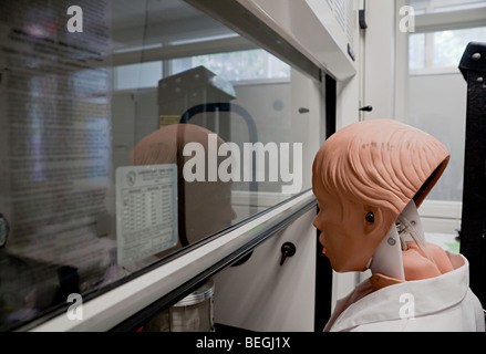 Biosafety Schrank ist mit einem Dummy-Wissenschaftler zertifiziert Stockfoto