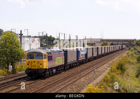 Colas Klasse 56 Diesellok arbeiten ein intermodaler bei Sevington in Kent. Stockfoto