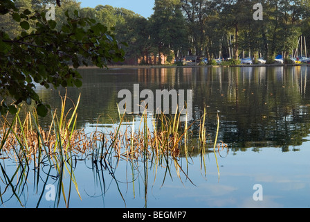 Boote in der Segelclub am Frensham Pond in Surrey mit Binsen im Vordergrund Stockfoto