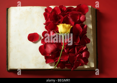 Rosenblüten über alte Alter Buch, roten Hintergrund Stockfoto