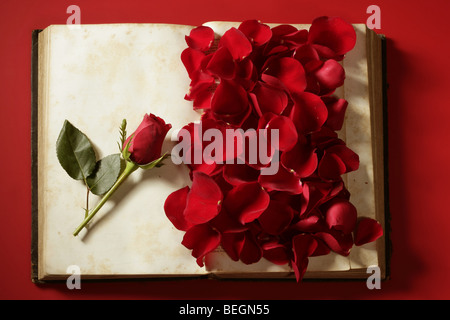 Rosenblüten über alte Alter Buch, roten Hintergrund Stockfoto