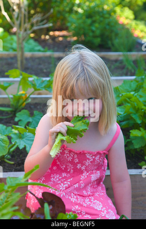 Junges Mädchen essen ein Salatblatt in einem Gemüsegarten Stockfoto