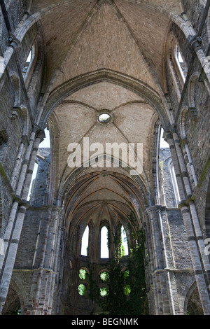 Abtei von Villers-La-Ville. Ruinen der Kirche. Stockfoto