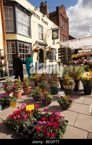 The Pavement, Wochenmarkt in Fortschritt Blume, St Ives, Cambridgeshire, England stall vor White Hart pub Stockfoto