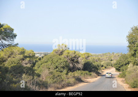 Israel, Carmel Berg, Shekef Wald, das Mittelmeer im Hintergrund Stockfoto