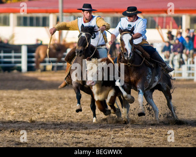 Teilnehmer in die Gauchos zeigen in "Semana Criolla" in Montevideo Uruguay Stockfoto