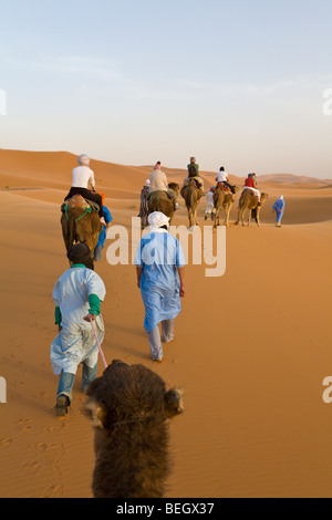 Touristen auf einem Kamel reiten Merzouga-Dünen Sahara Marokko Stockfoto