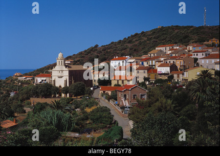 Griechisch-orthodoxe Kirche in Cargese Corse du Sud Stockfoto