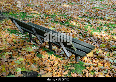 Leere Bank unter Herbst Blätter mit Sonnenlicht, Highbury Fields, Islington, London, England, UK Stockfoto