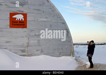 Mann fotografiert Eisbär, das "Gefängnis" Bären festgehalten, die kommen zu nah an Stadt in Churchill, Manitoba Stockfoto